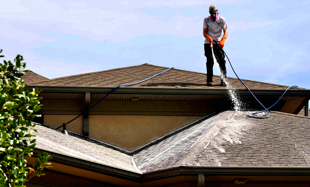 Professional Roof Cleaner
