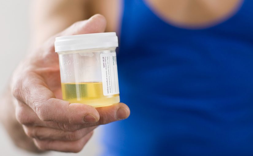 Trust and Reliability: Exploring the Top Trusted Fake Urine Brands