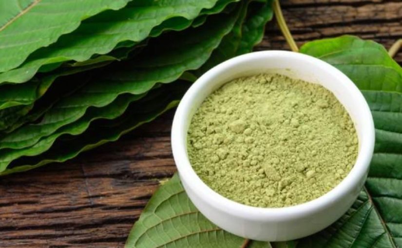Kratom Chronicles: A Comprehensive Guide to Its Remarkable Medicinal Benefits!